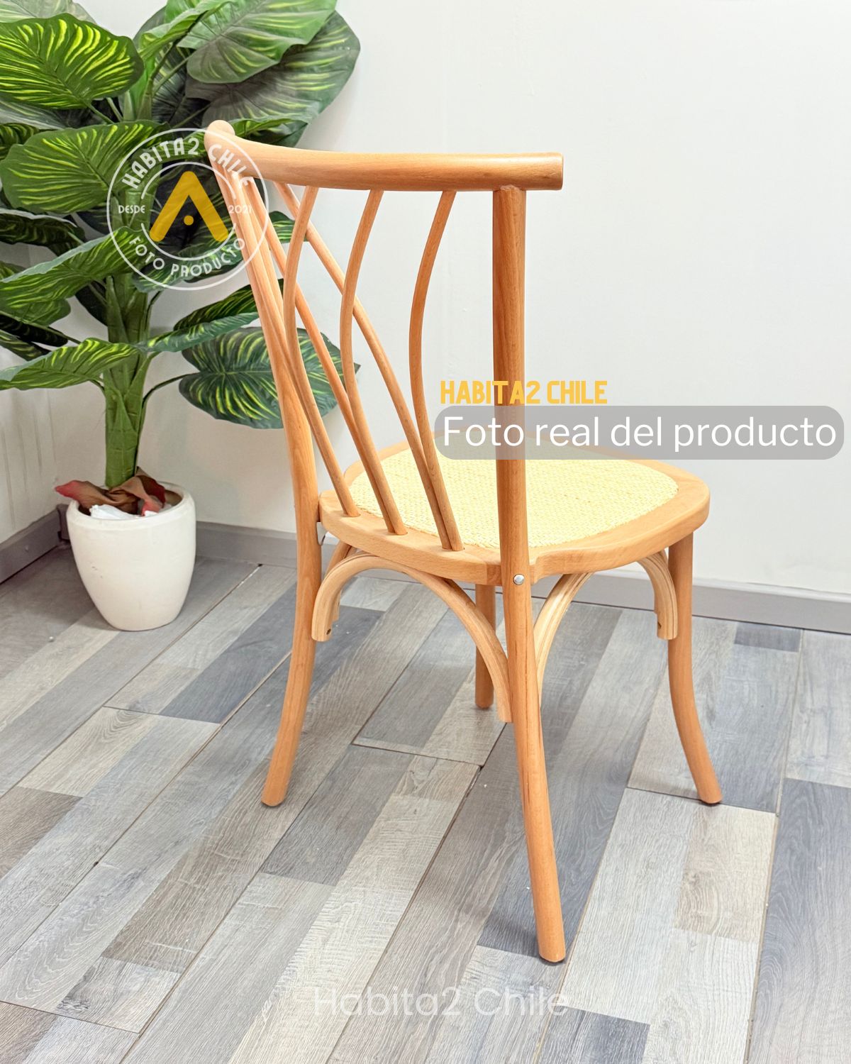 Silla Amelia de Madera