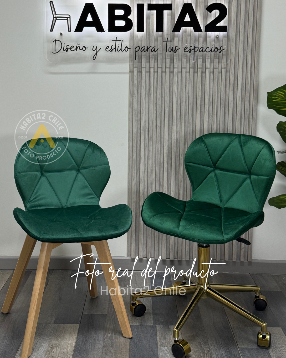 Pack Sillas Manicurista Mariposa Felpa