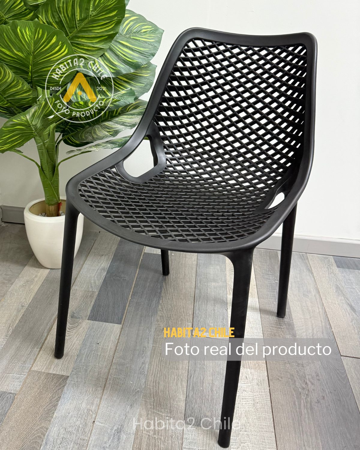 Comedor City Tulip