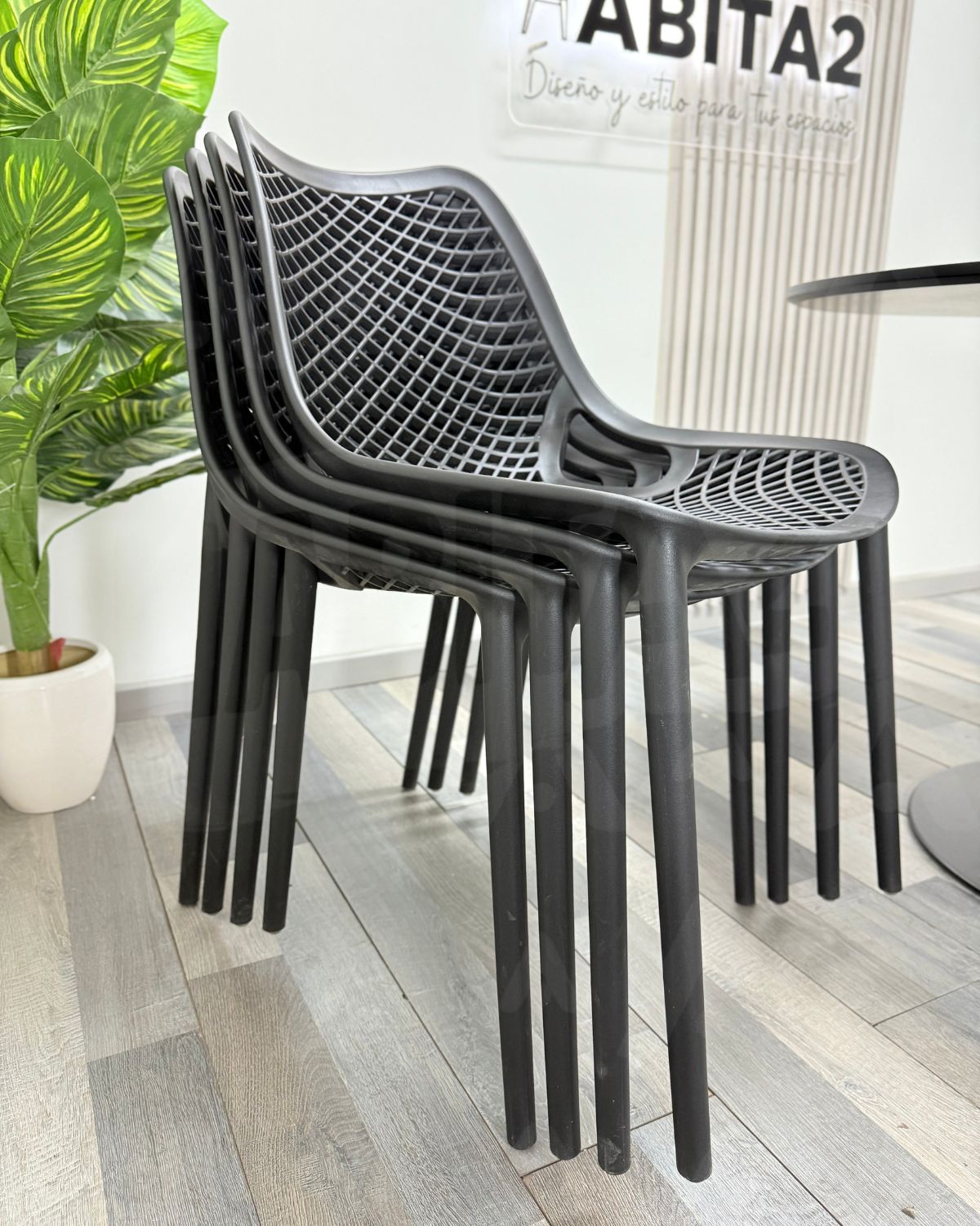 Comedor City Tulip