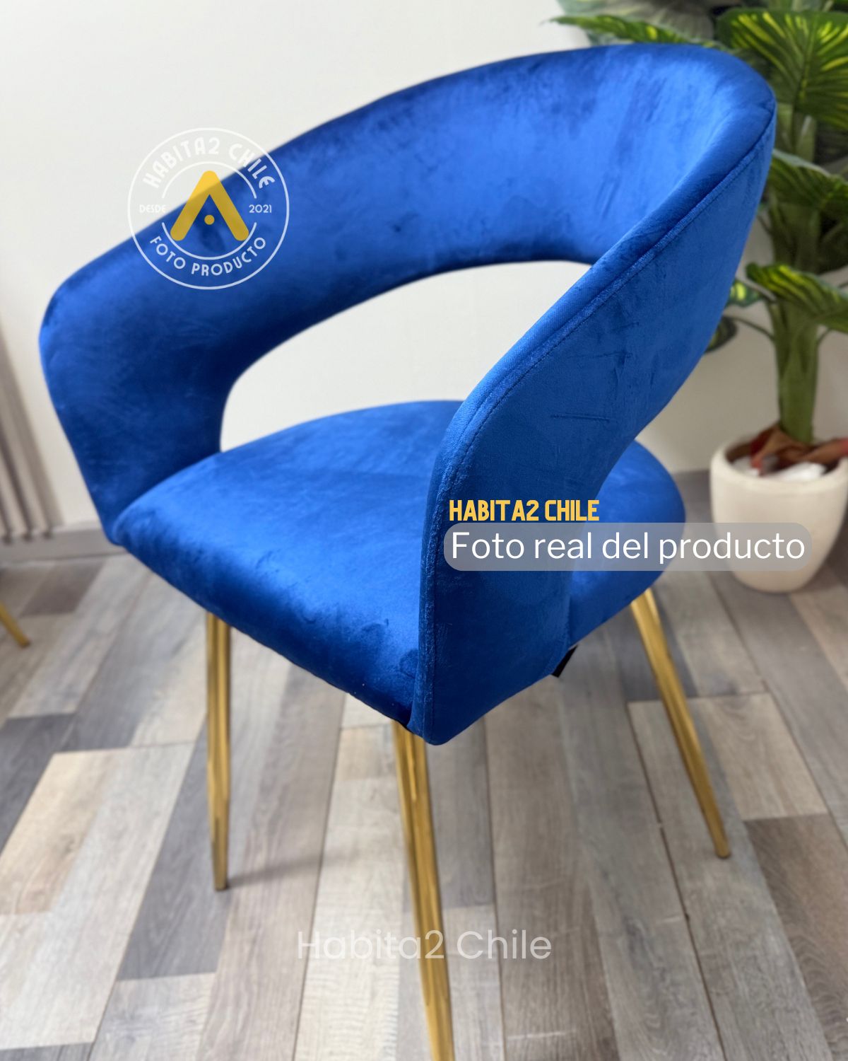 Sitial Florencia Gold