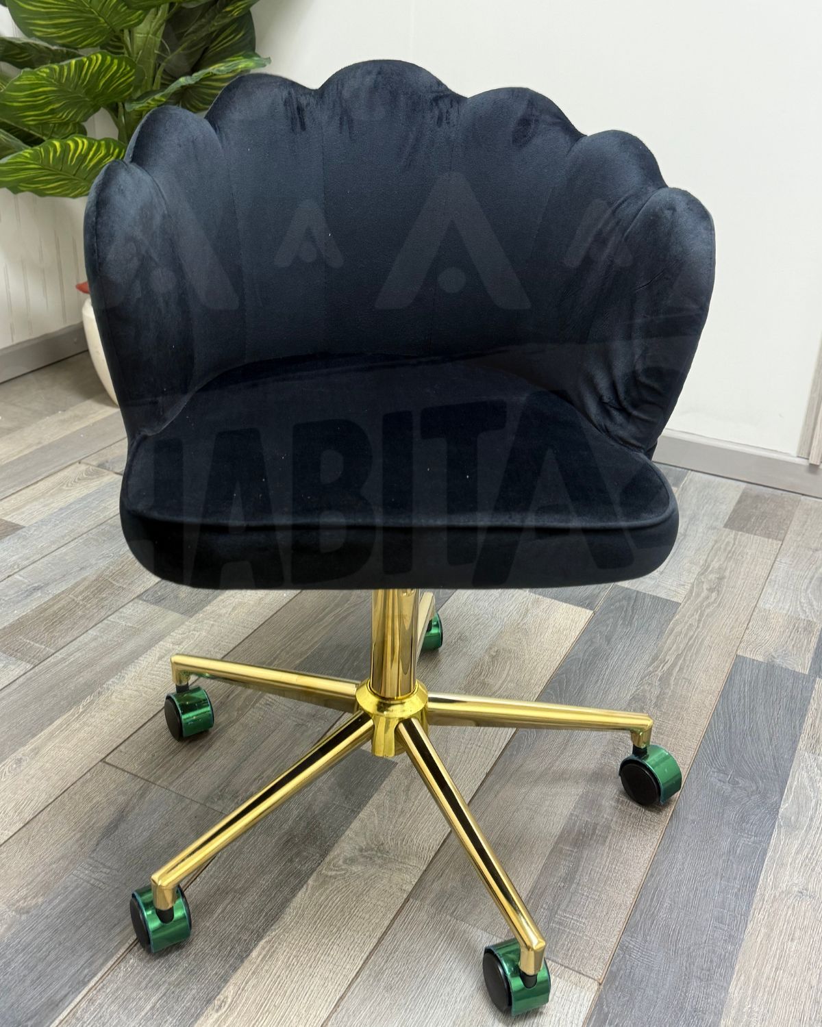 Silla Ostra de escritorio