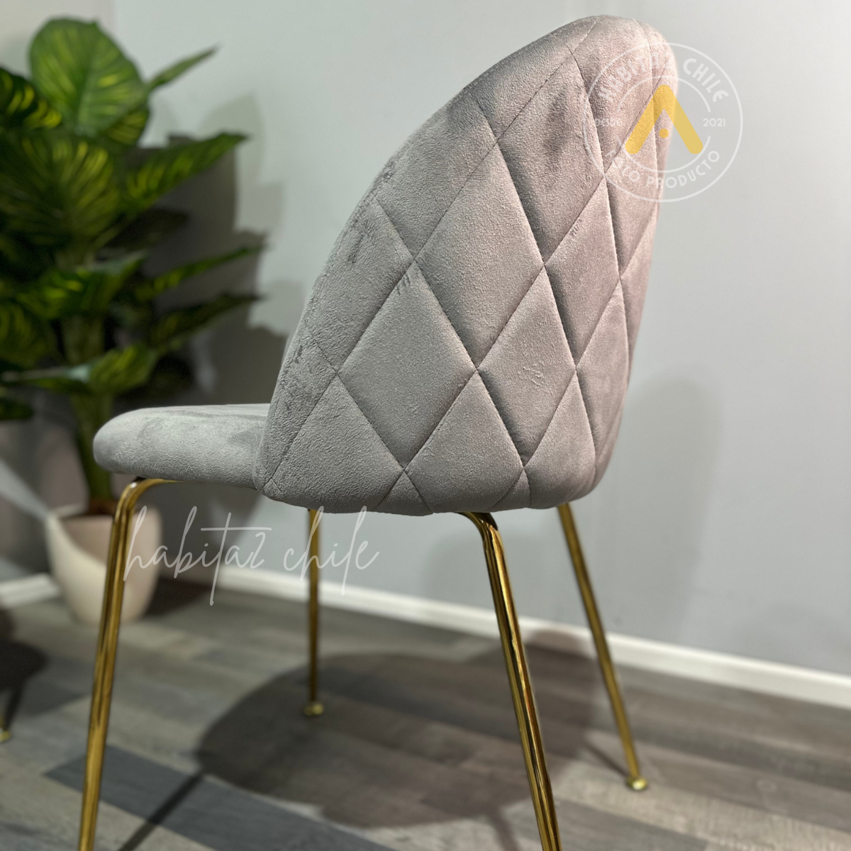 Silla Nordic Felpa Gold