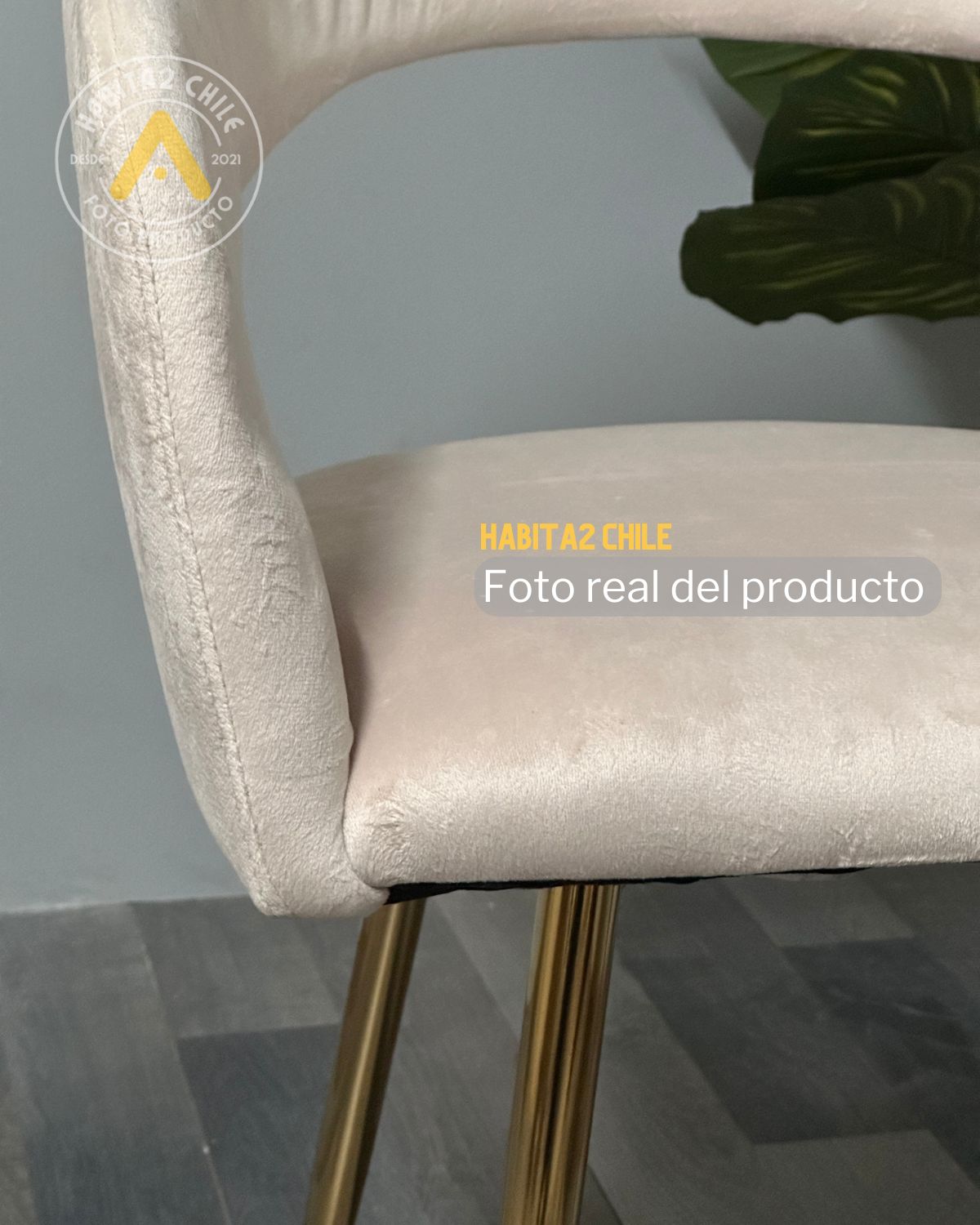 Sitial Florencia Gold