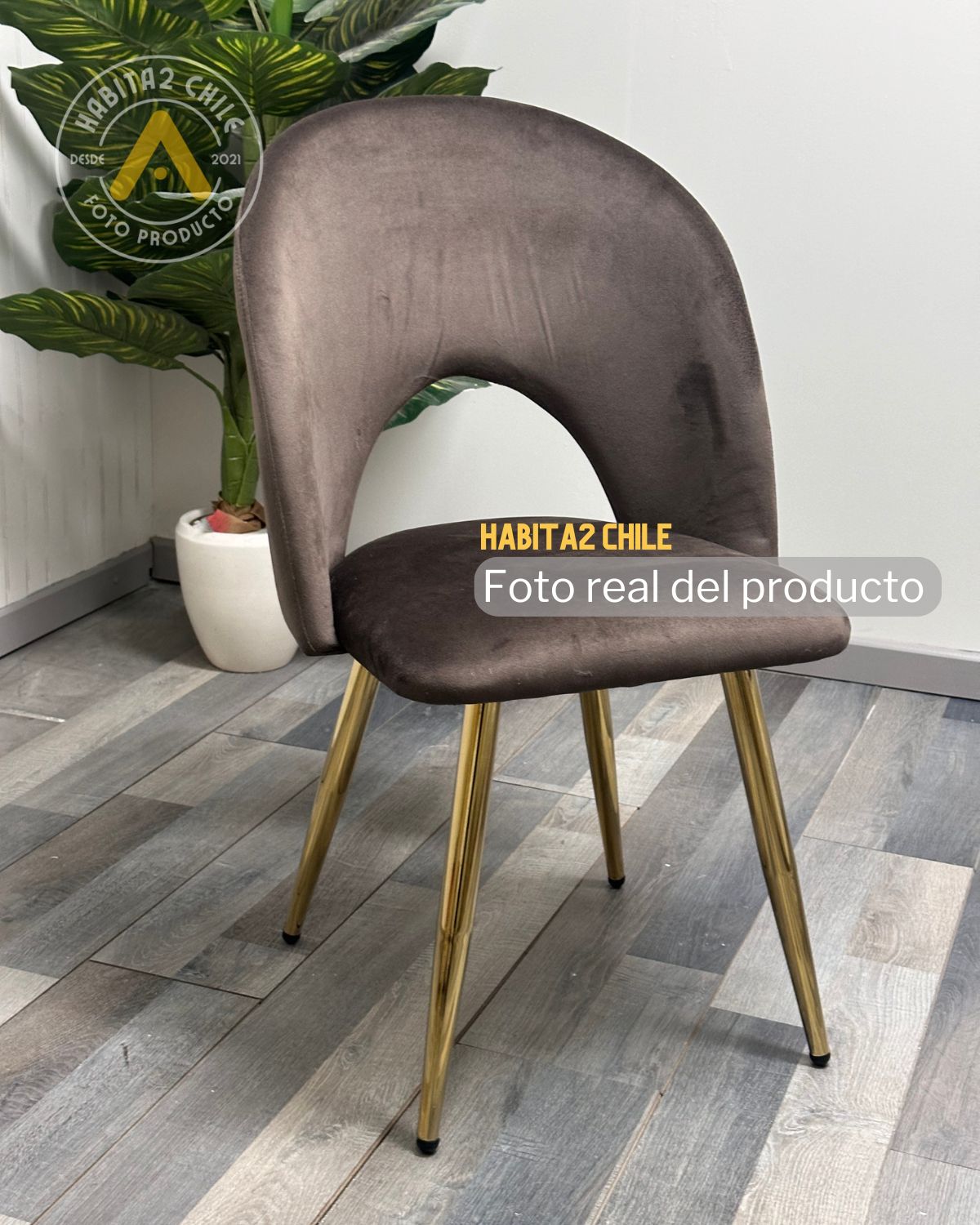 Silla Elsa Gold