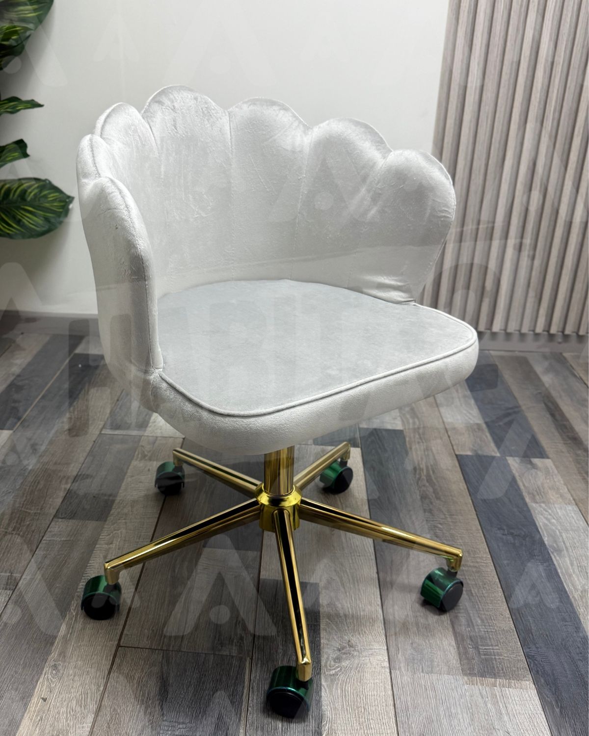 Silla Ostra de escritorio