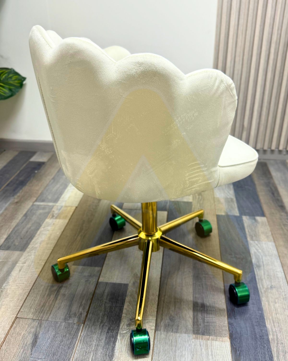 Silla Ostra de escritorio