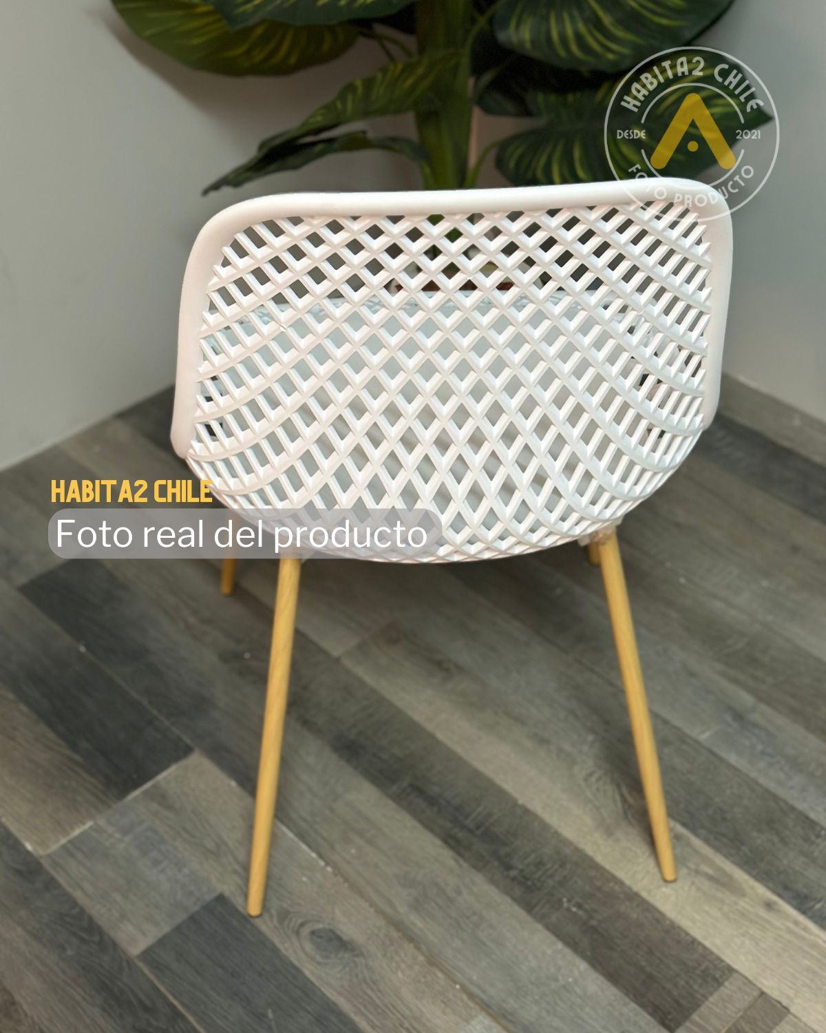 Silla Panal