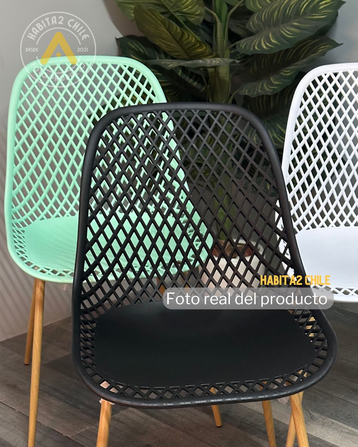 Pack 2 Sillas Panal