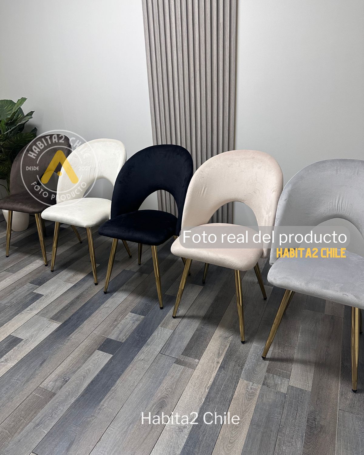 Silla Elsa Gold