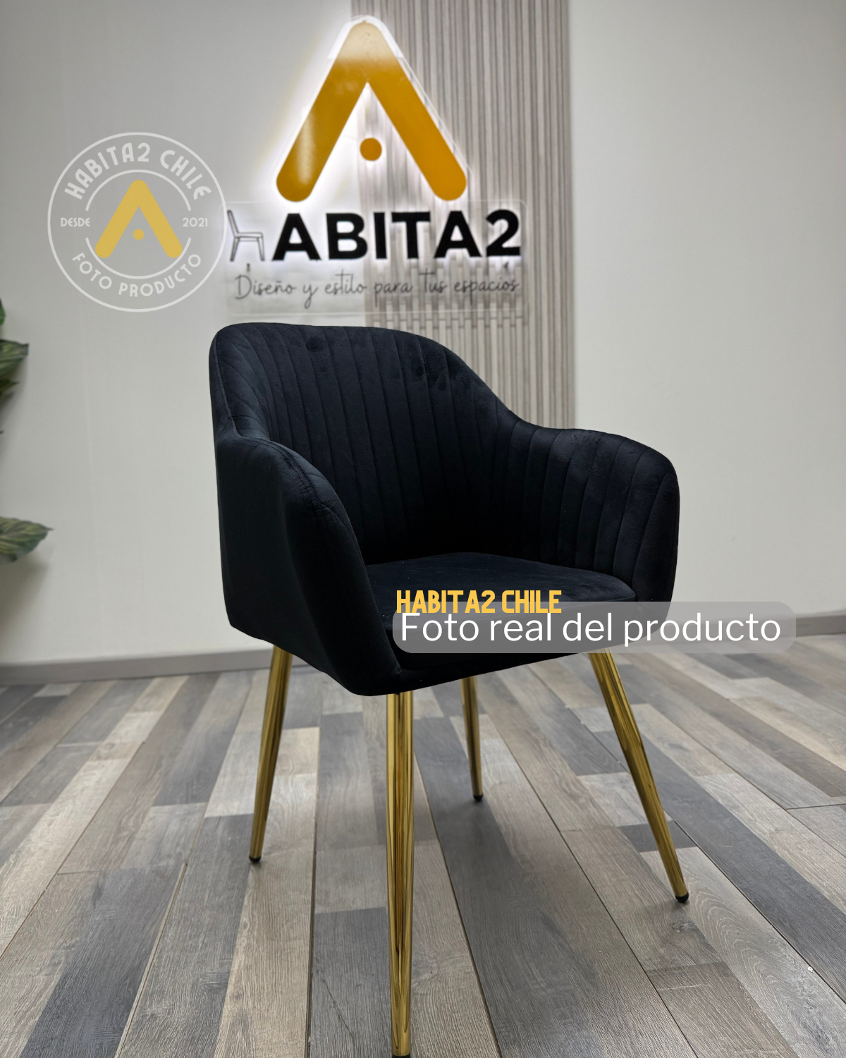 Sitial Murano Gold