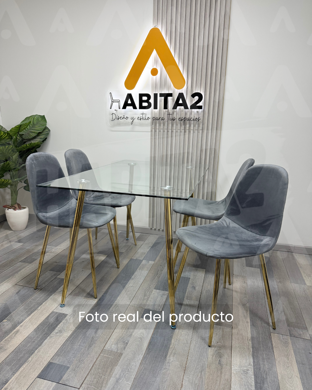 Comedor Prince Trendytop Gold