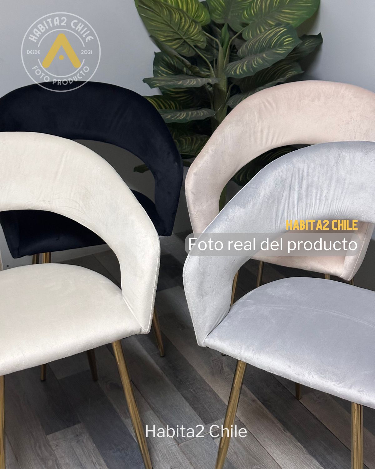 Sitial Florencia Gold