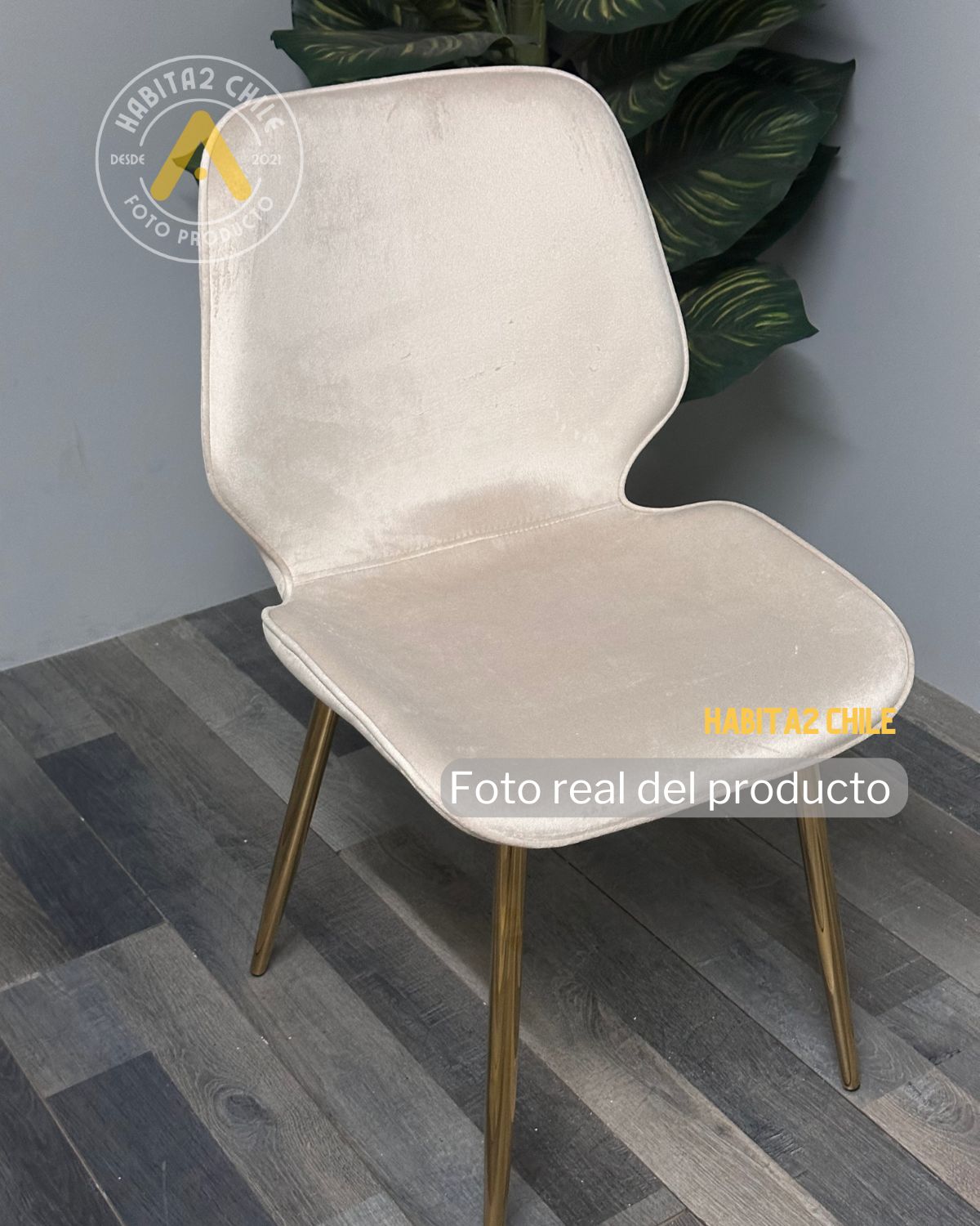 Silla Gabriela