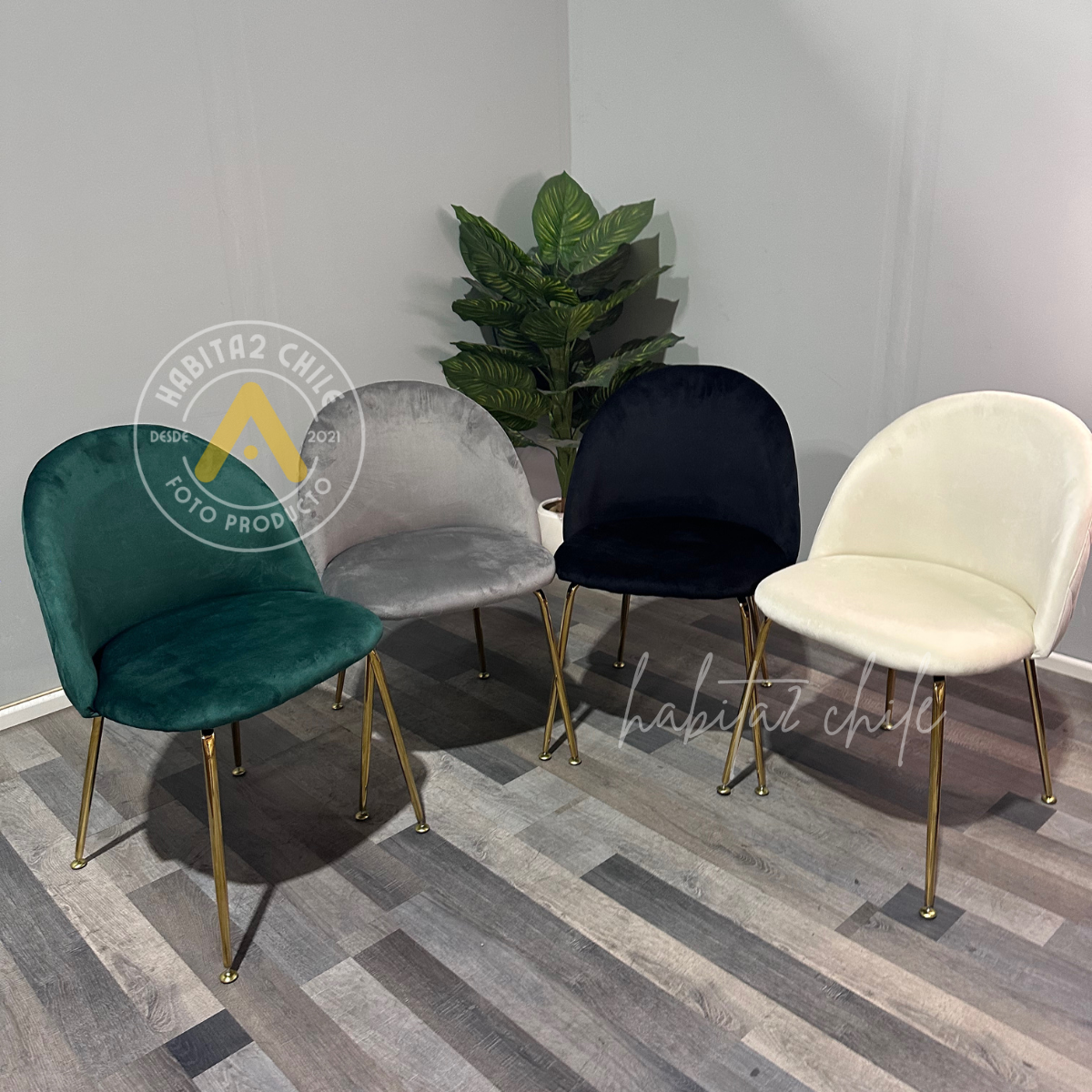 Comedor Nordic Gold Dubai