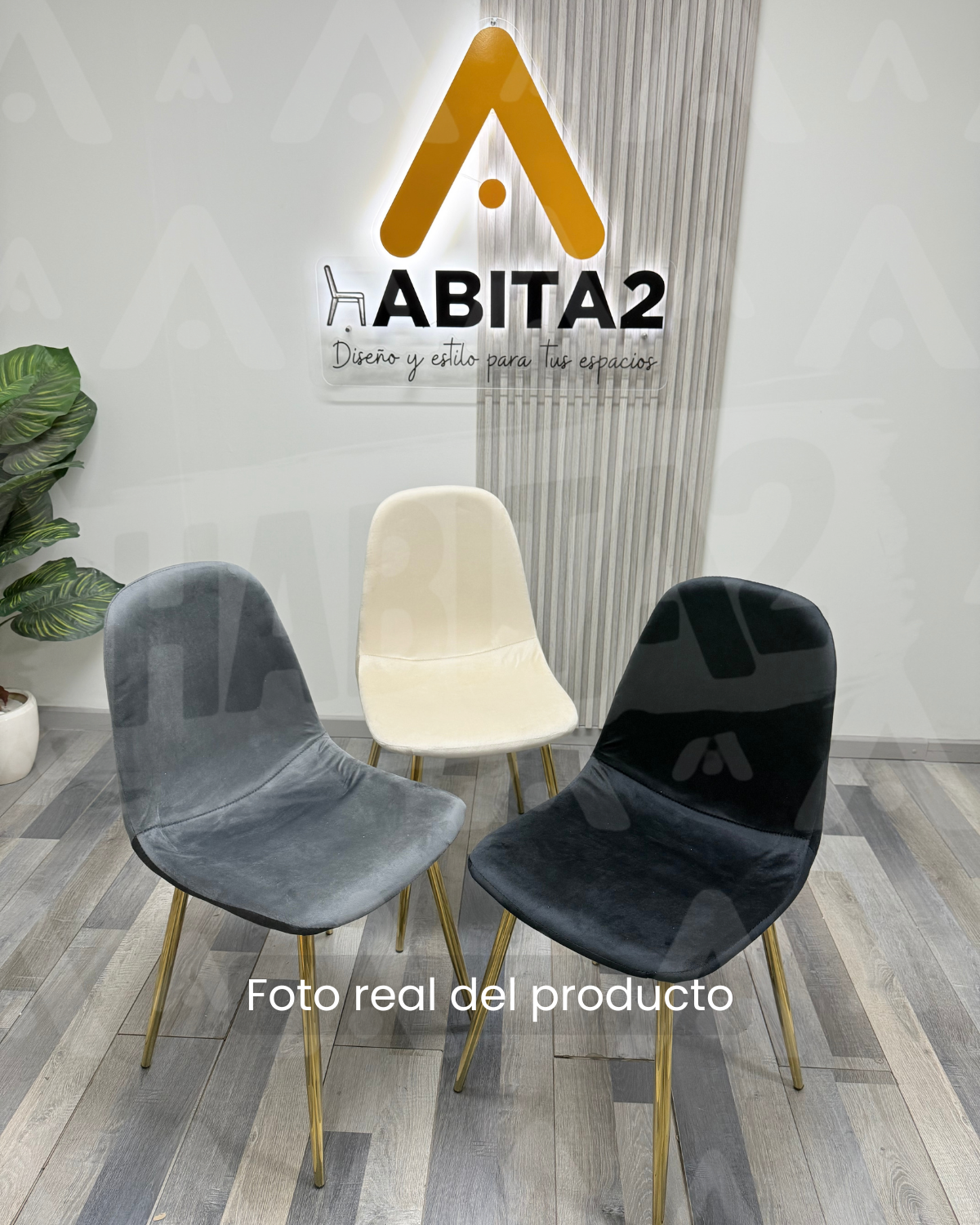 Comedor Prince Trendytop Gold
