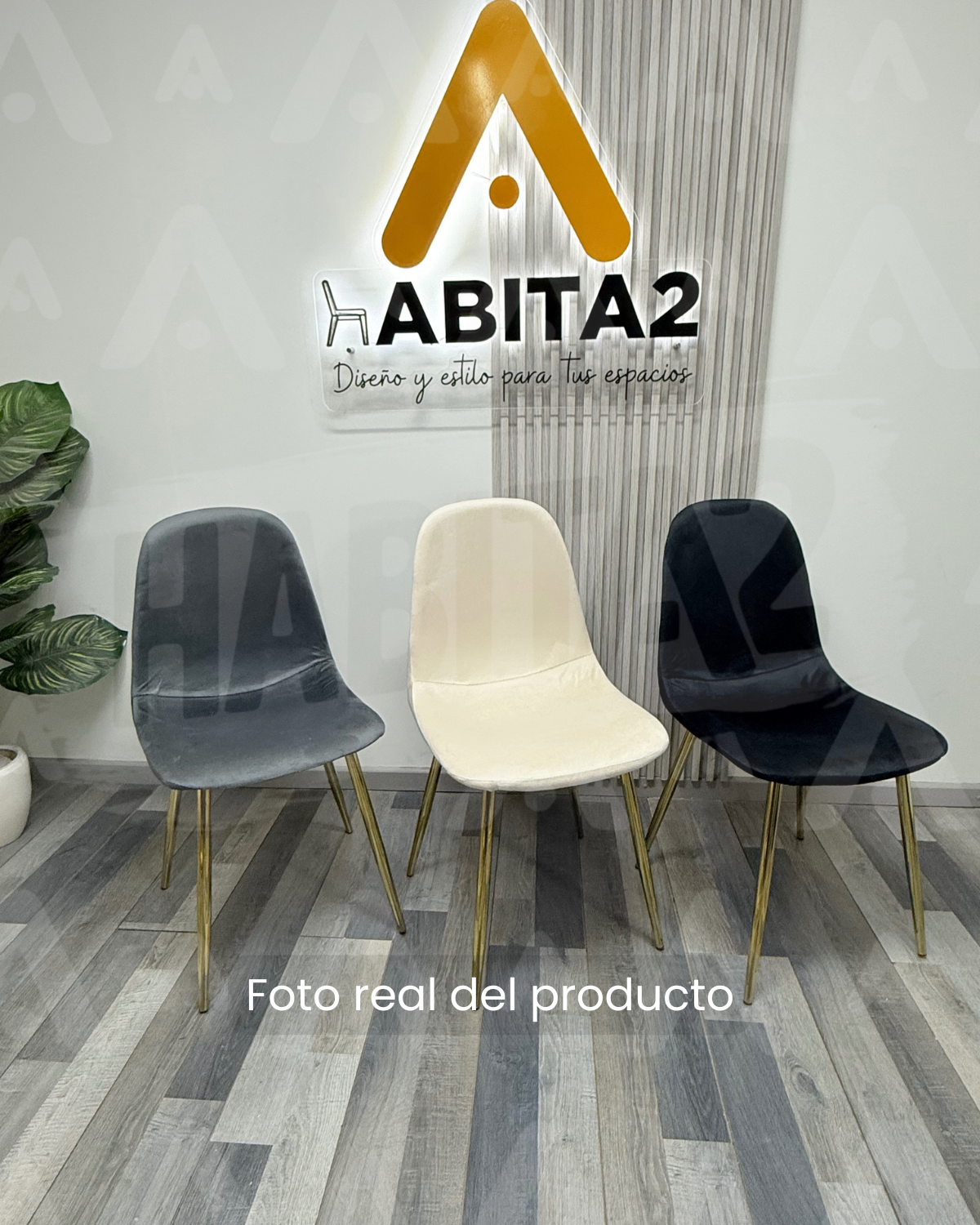 Comedor Prince Trendytop Gold