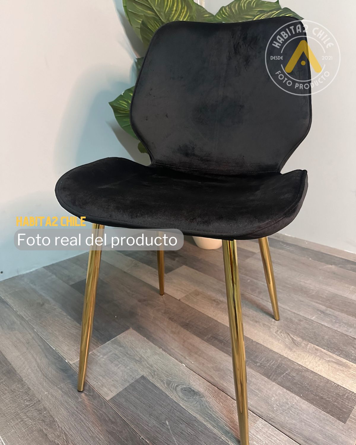 Silla Gabriela