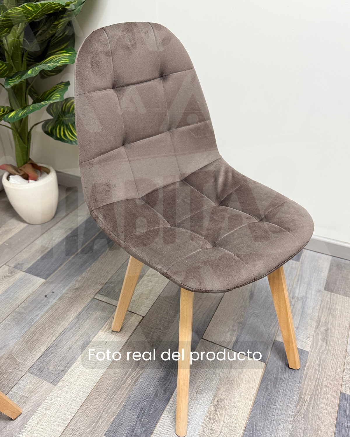 Comedor Capitoné Nordic de Vidrio