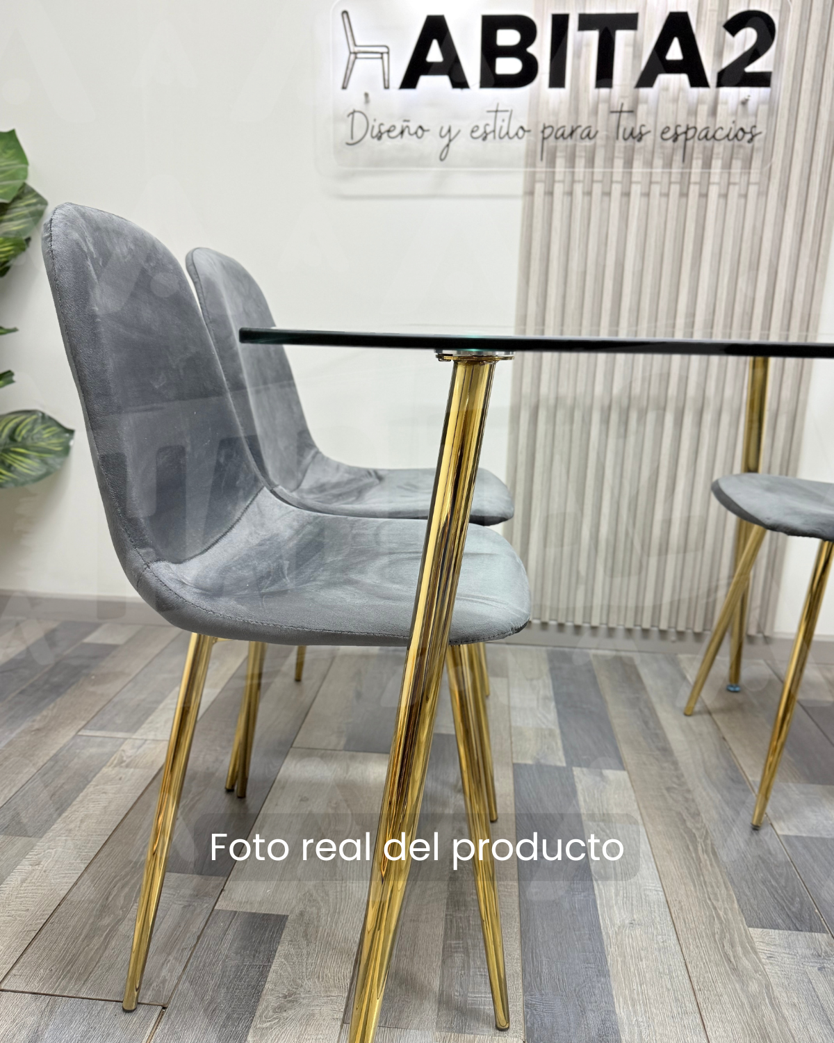 Comedor Prince Trendytop Gold