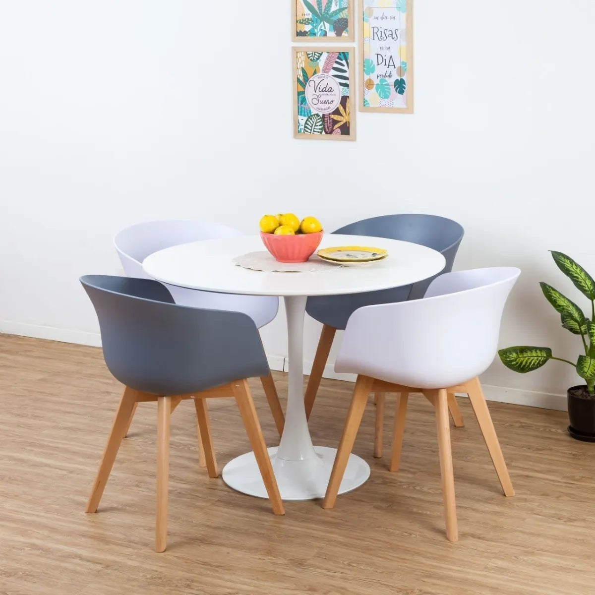 Comedor Tulip Serenity