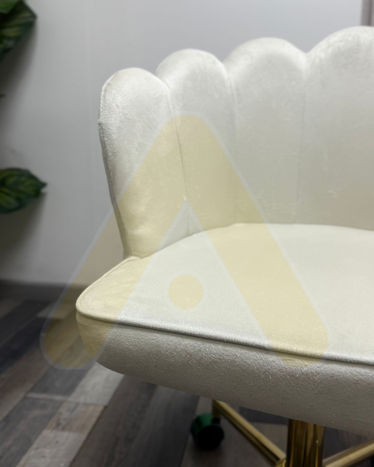 Silla Ostra de escritorio