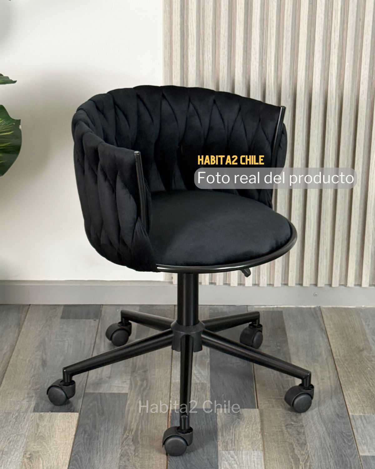 Pack Gales Glam Black
