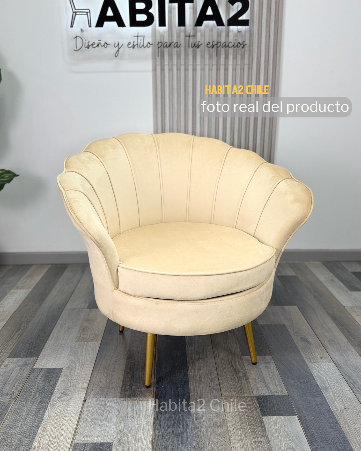 Poltrona Shell Felpa