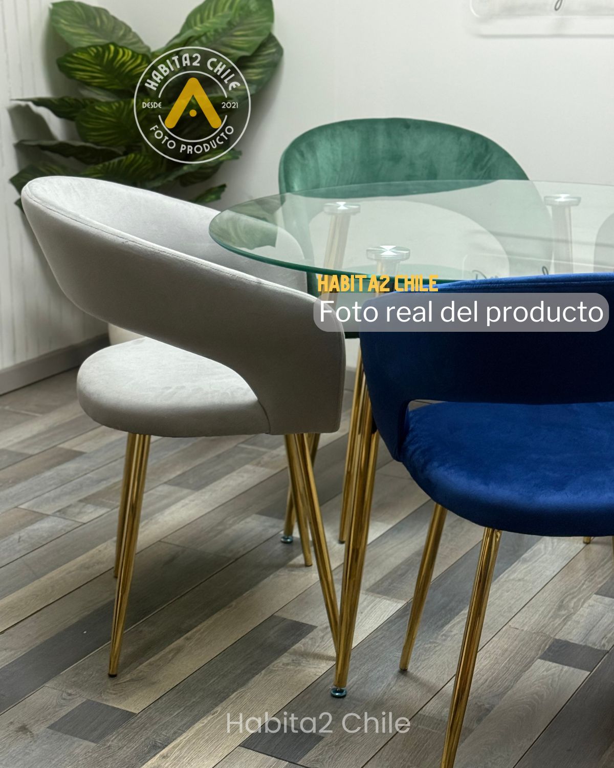 Comedor Florencia Minimalista 120
