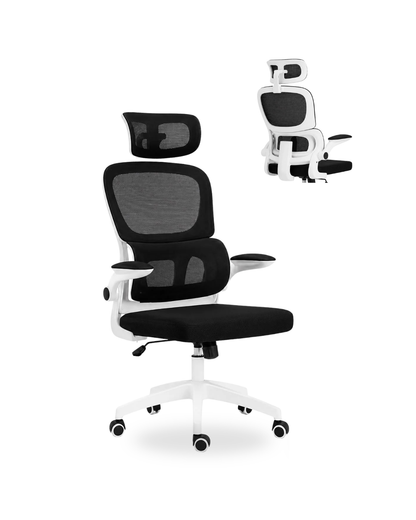 Silla Lyon de Oficina