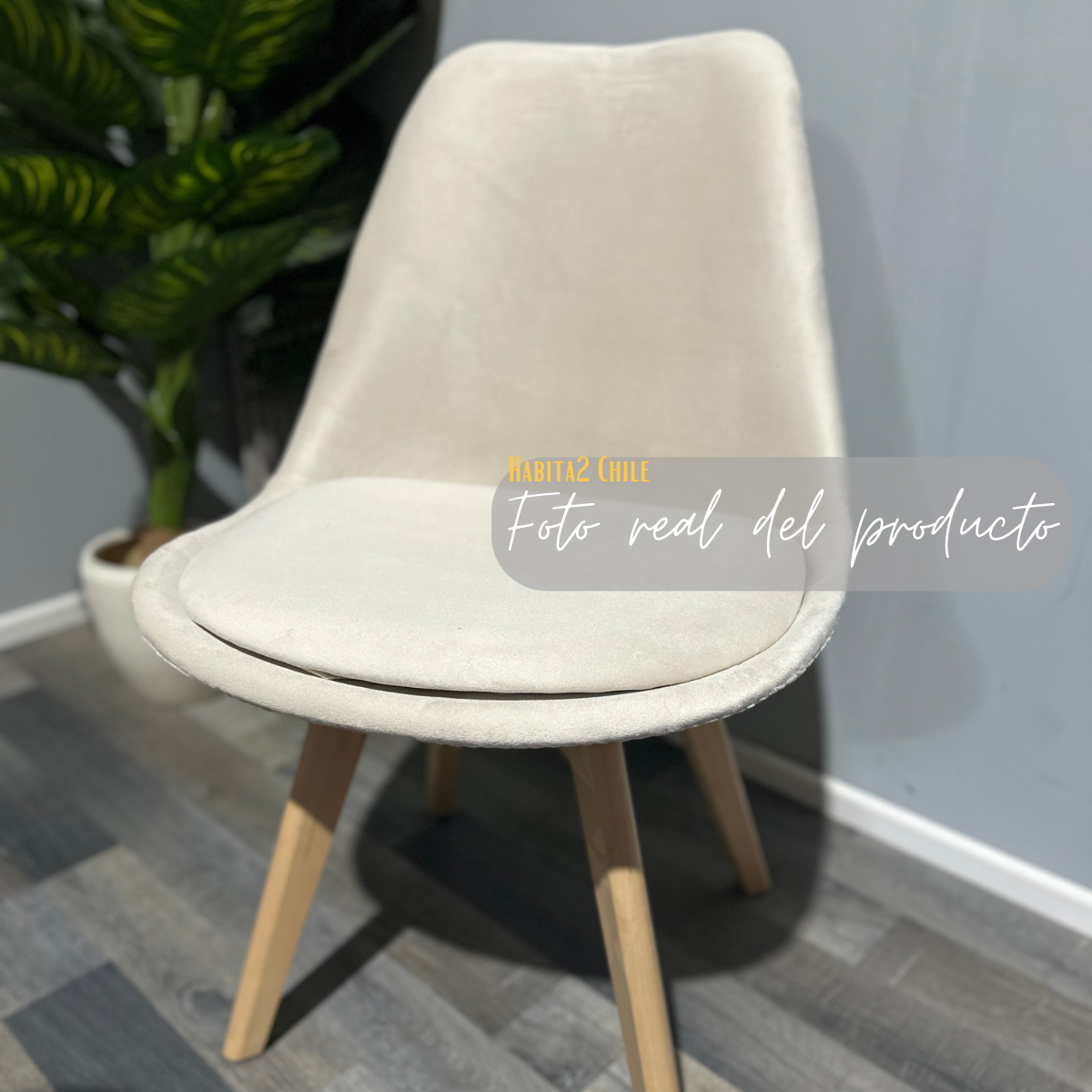 Pack 4 Silla Tulip Felpa
