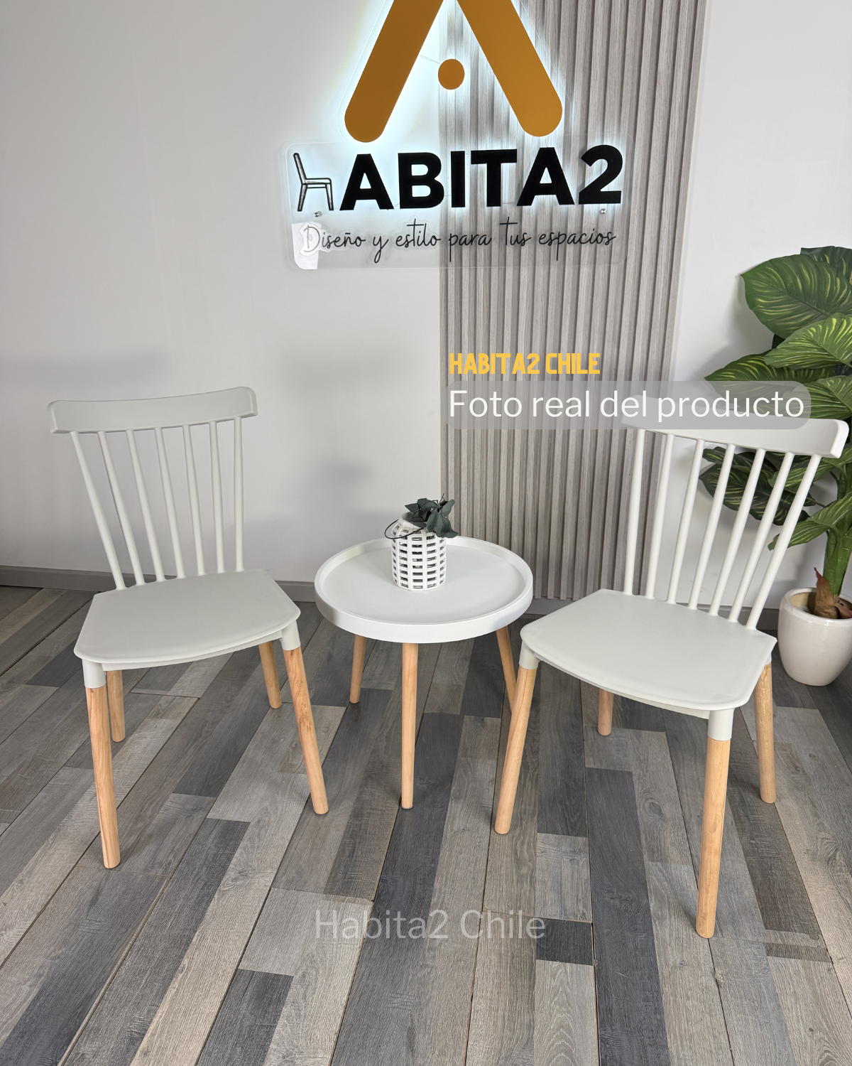 Set de Terraza Windsor Magic