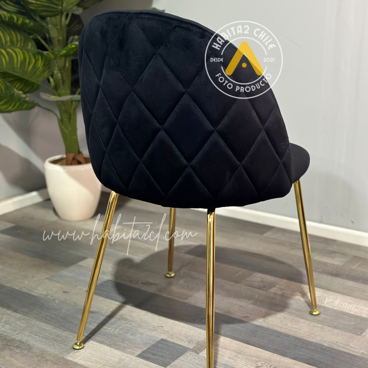 Comedor Madrid Nordic Gold