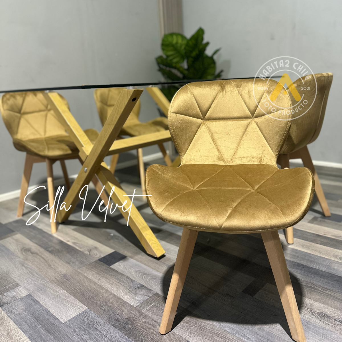 Comedor Velvet X