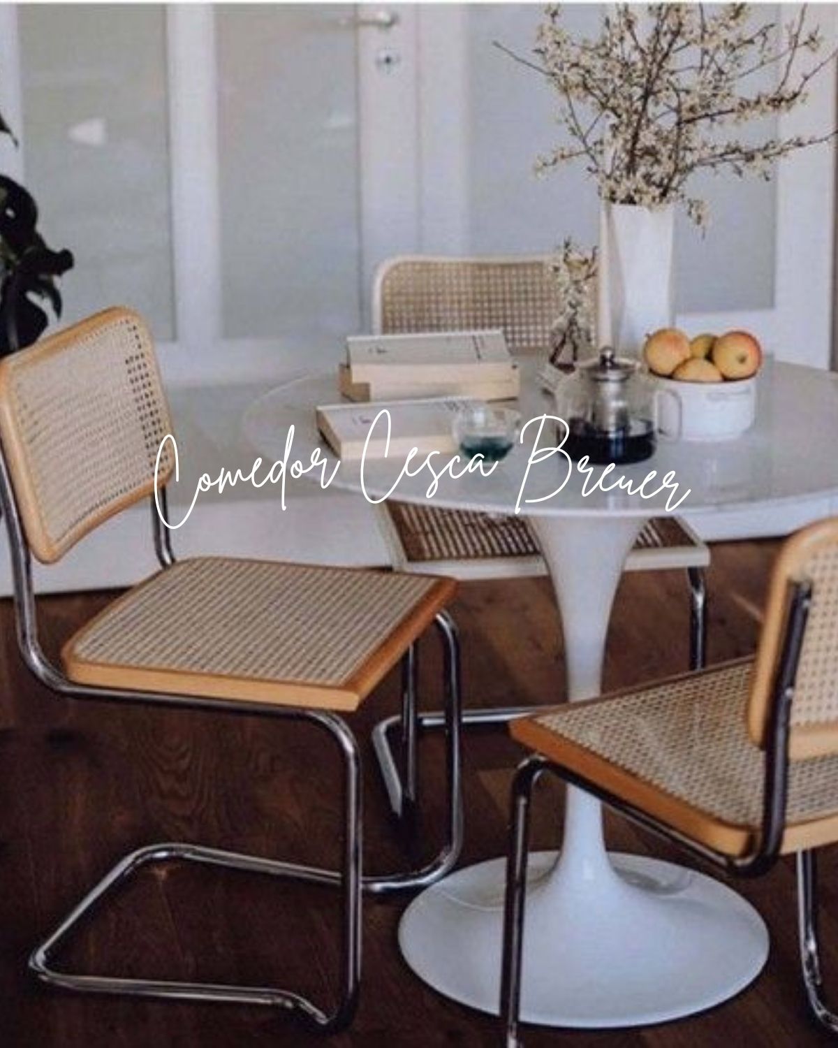 Comedor Tulip Cesca Breuer