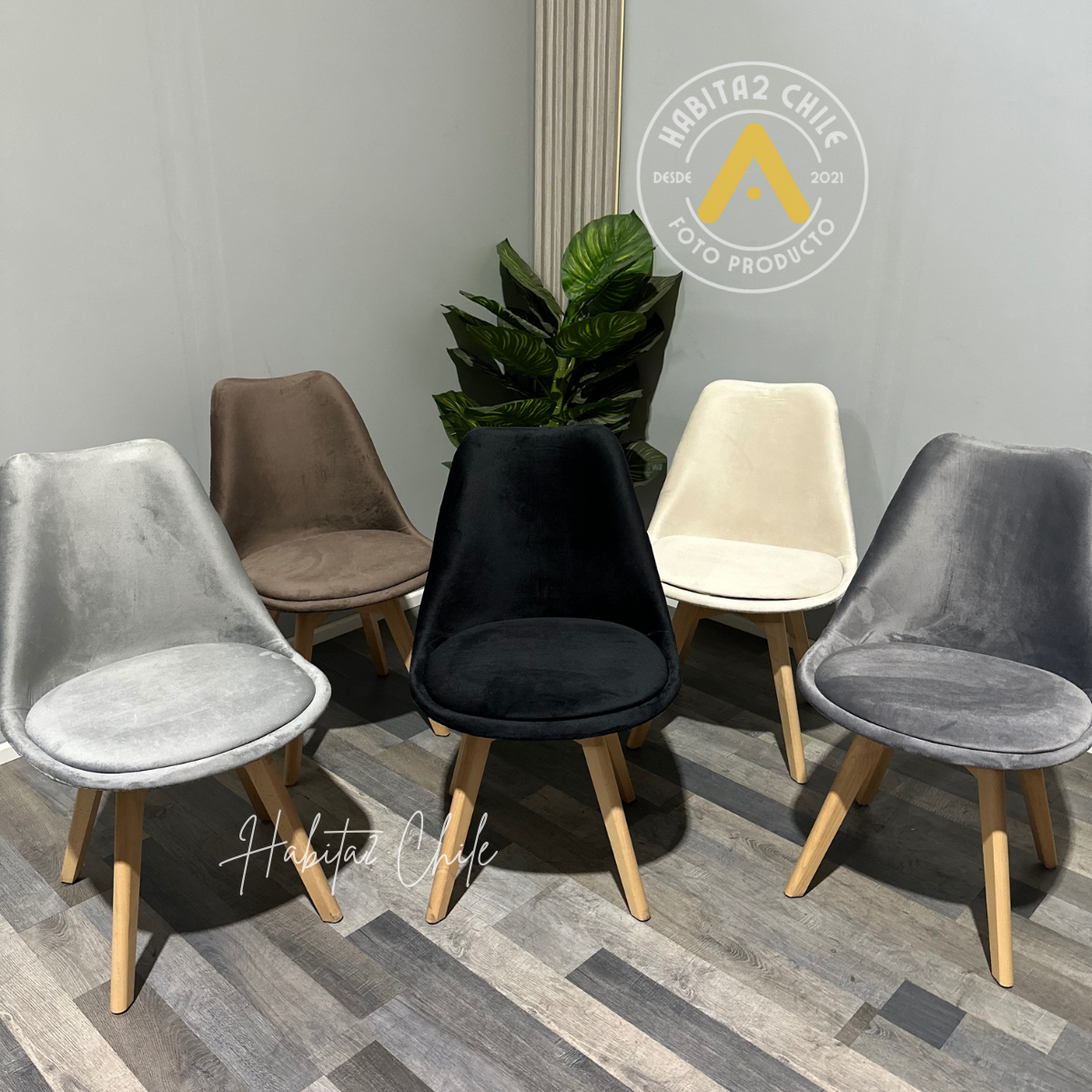 Comedor Tulip Felpa X