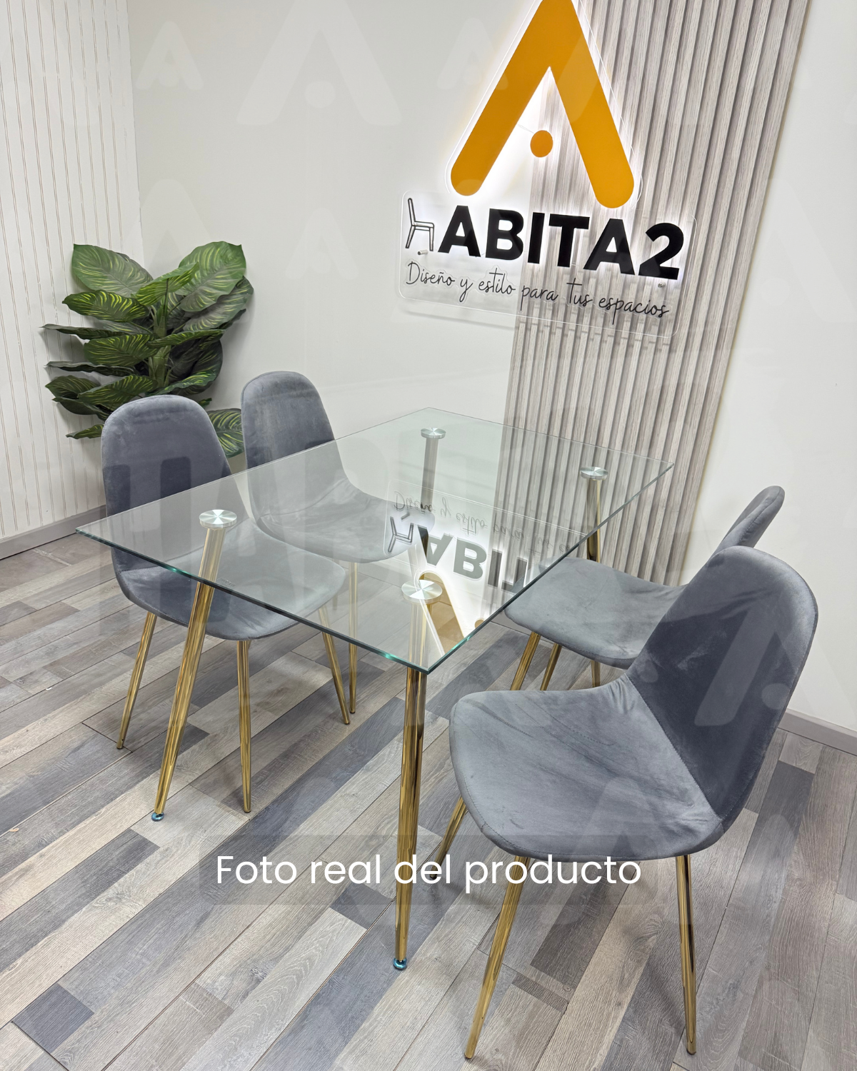 Comedor Prince Trendytop Gold
