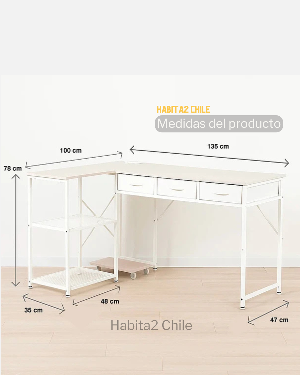 Escritorio Mónica