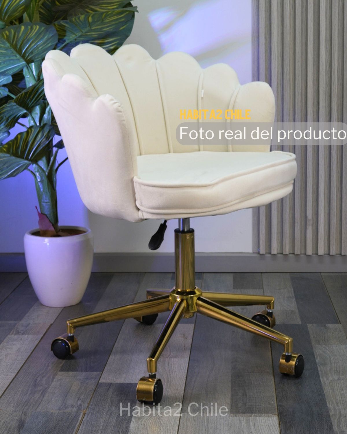 Silla Ostra de Escritorio