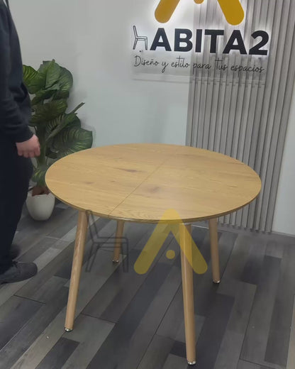 Mesa Extensible 100-140-180 cm